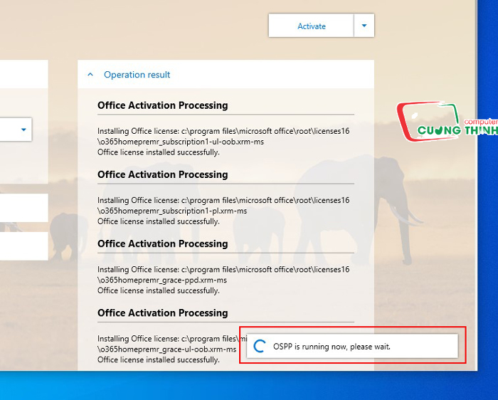 Chờ phần mềm tự Activate Chờ phần mềm tự Activate
